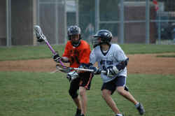 lacrosse_245_small.jpg